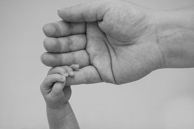 Adult holding a child's hand